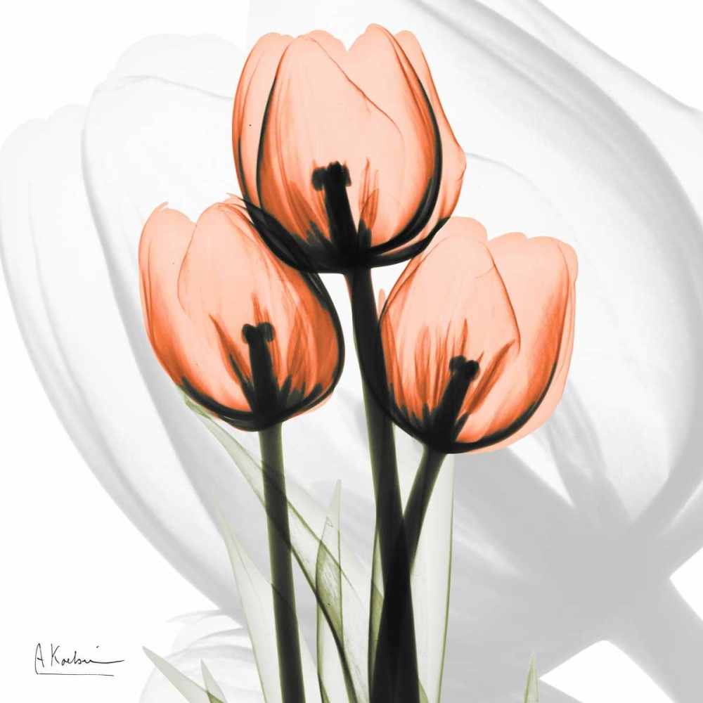 Orange tulips art print by Albert Koetsier for $57.95 CAD