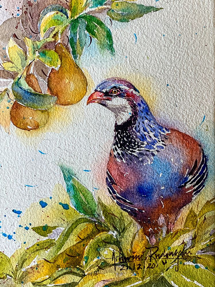 Partridge In Pear Tree art print by Ashwini Rudraksi for $57.95 CAD