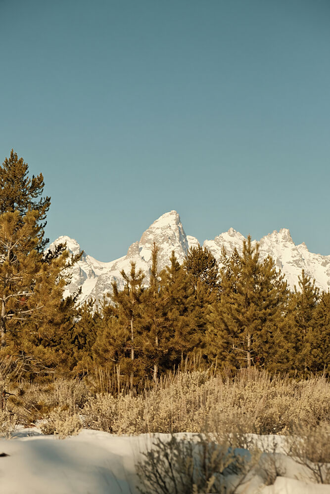 Grand Tetons art print by Alicia Stanhouse Pyatt for $57.95 CAD