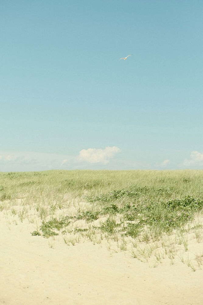 Nantucket Beach art print by Alicia Stanhouse Pyatt for $57.95 CAD