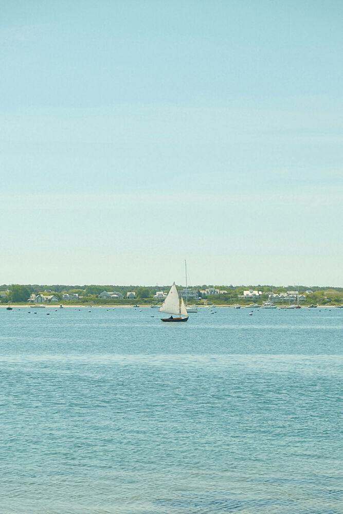 Sailing art print by Alicia Stanhouse Pyatt for $57.95 CAD