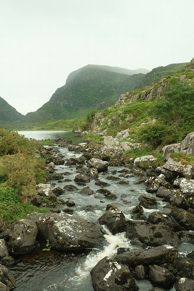 Ireland Stream art print by Alicia Stanhouse Pyatt for $57.95 CAD