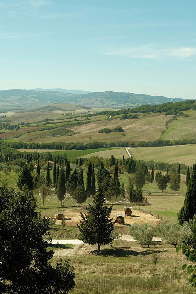 Tuscan Landscape art print by Alicia Stanhouse Pyatt for $57.95 CAD