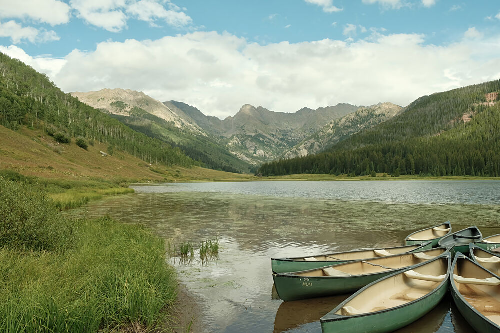Piney Lake art print by Alicia Stanhouse Pyatt for $57.95 CAD
