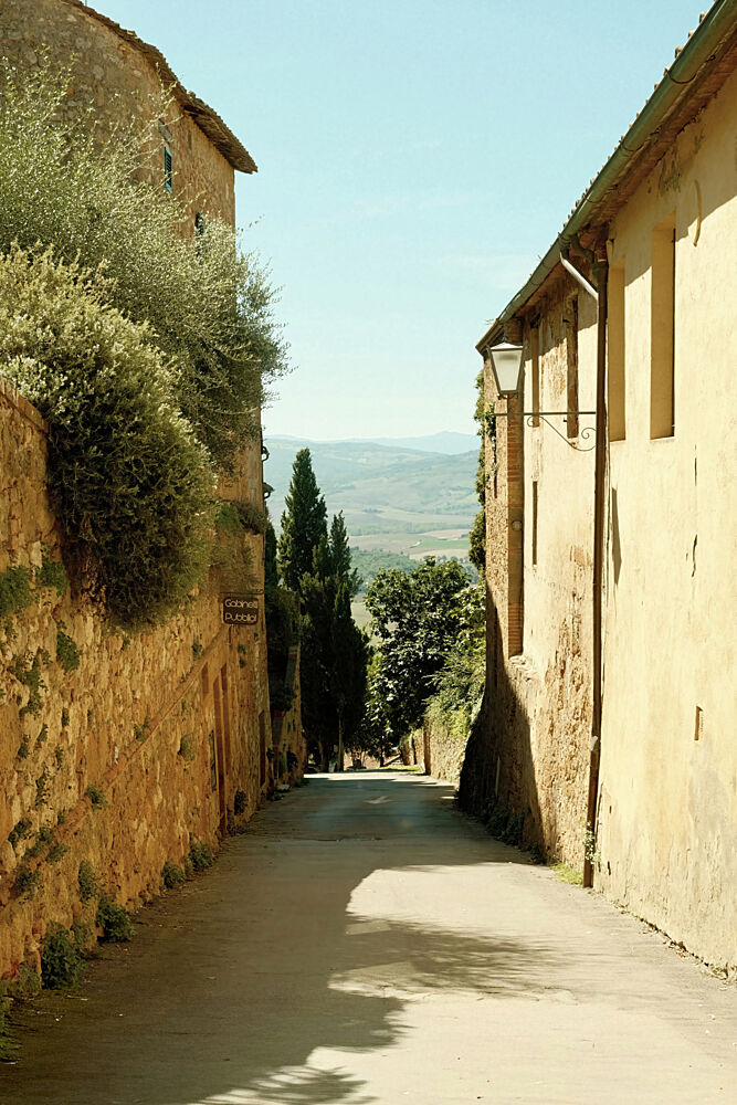A Walkthrough Tuscany art print by Alicia Stanhouse Pyatt for $57.95 CAD