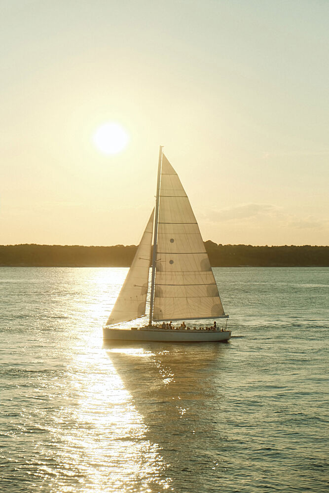 Golden Sail art print by Alicia Stanhouse Pyatt for $57.95 CAD