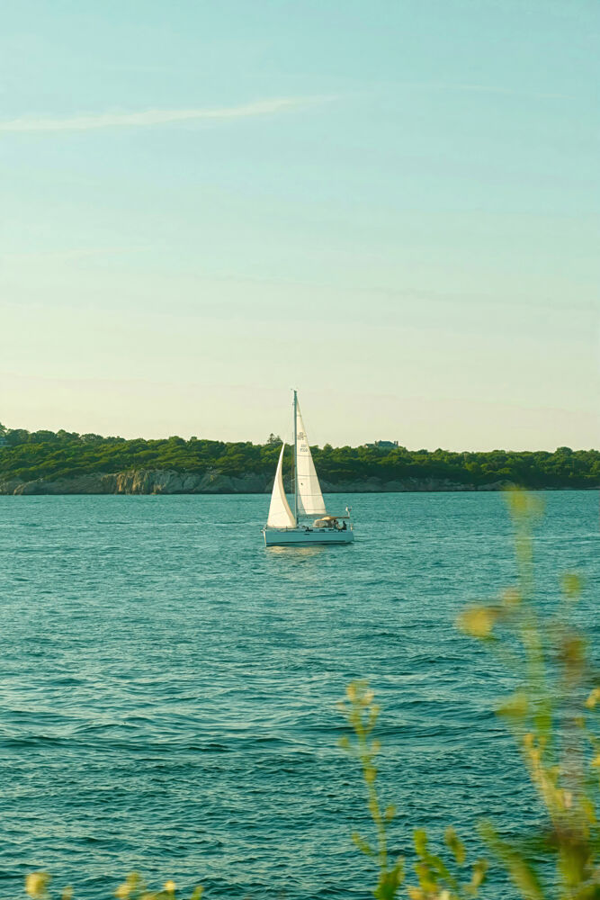 Summer Sail art print by Alicia Stanhouse Pyatt for $57.95 CAD