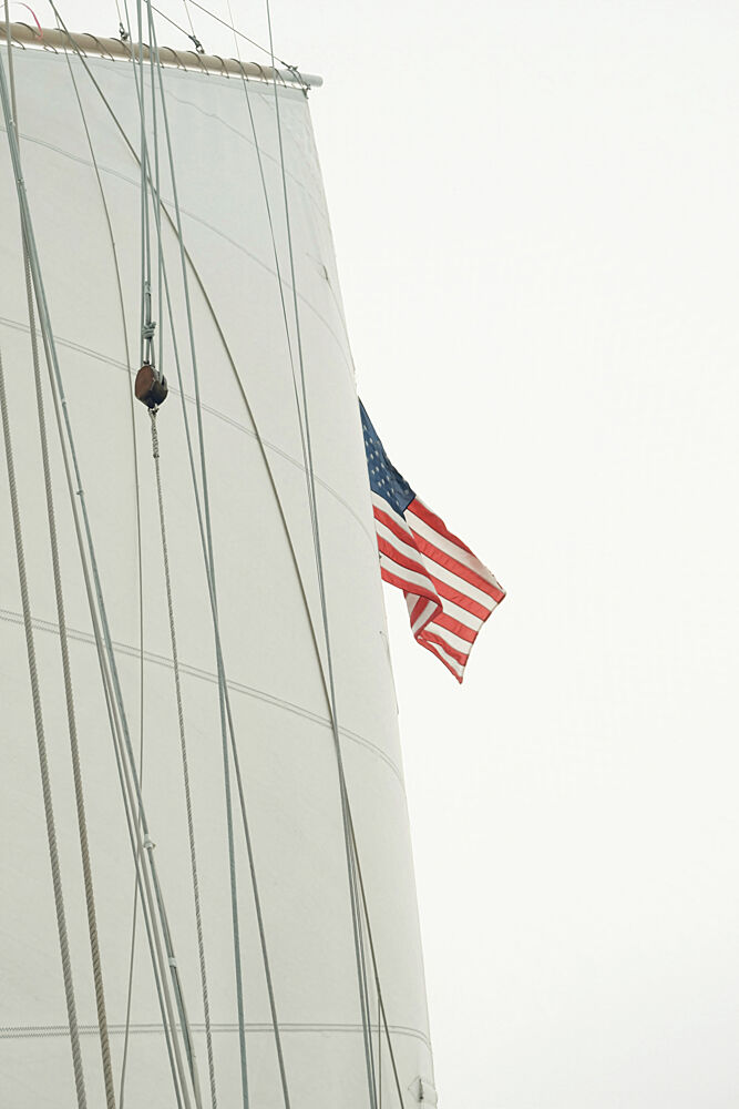 American Sail art print by Alicia Stanhouse Pyatt for $57.95 CAD