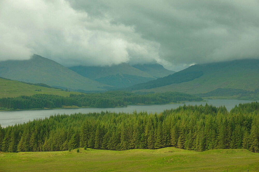 Scottish Highlands art print by Alicia Stanhouse Pyatt for $57.95 CAD