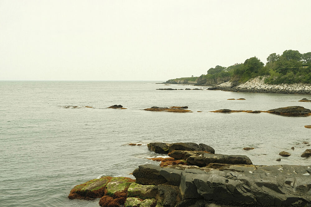 Newport Mist art print by Alicia Stanhouse Pyatt for $57.95 CAD