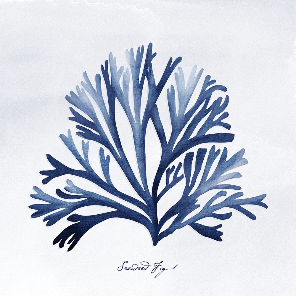 SeaweedFig1 art print by Alicia Vidal for $57.95 CAD