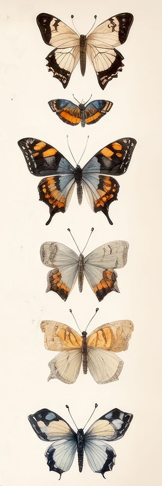 Butterfly Panel 1 art print by Ann Bailey for $57.95 CAD