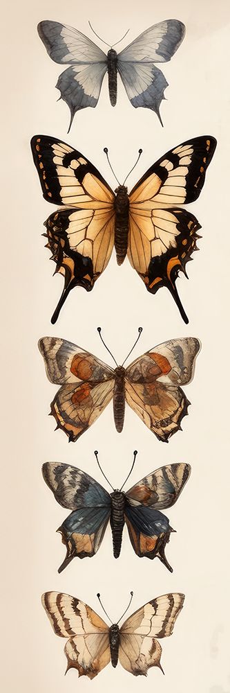 Butterfly Panel 2 art print by Ann Bailey for $57.95 CAD