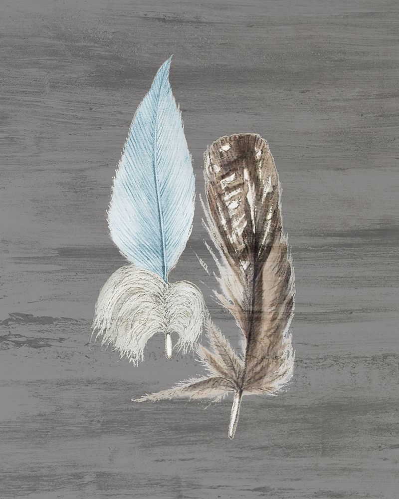 Feathers 1 art print by Ann Bailey for $57.95 CAD