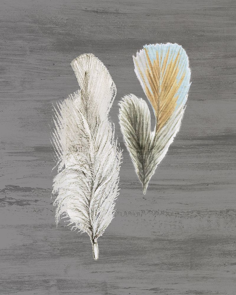 Feathers 2 art print by Ann Bailey for $57.95 CAD