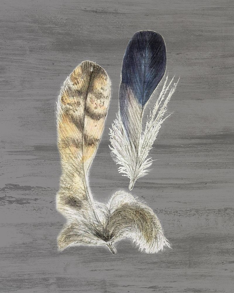 Feathers 3 art print by Ann Bailey for $57.95 CAD