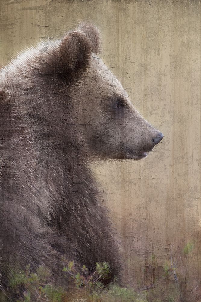 Contemplation art print by Ann Bailey for $57.95 CAD