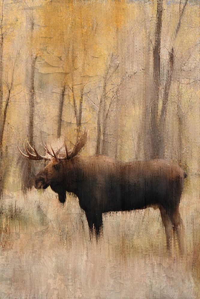 Golden Fall art print by Ann Bailey for $57.95 CAD