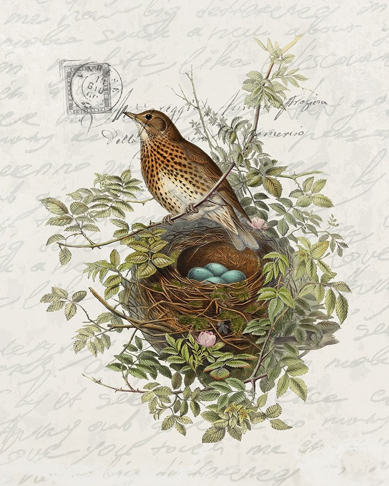 Nesting 2 art print by Ann Bailey for $57.95 CAD