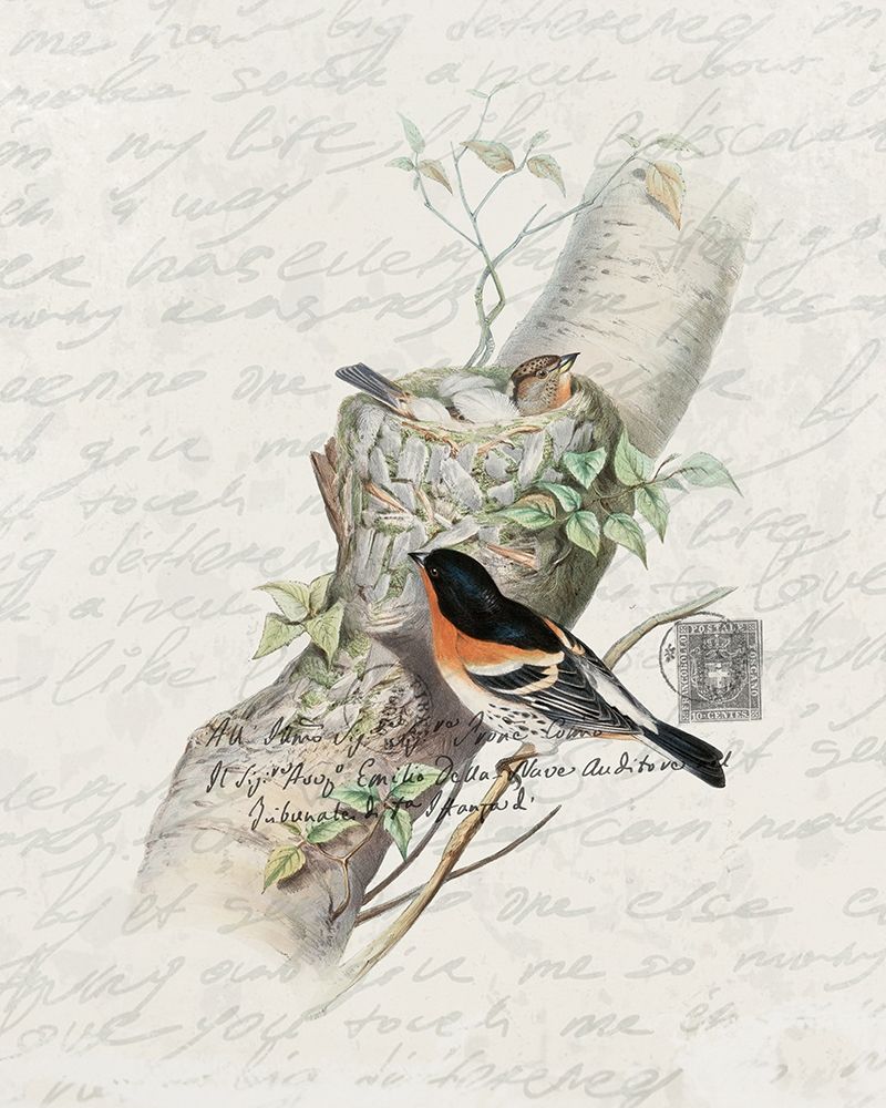 Nesting 3 art print by Ann Bailey for $57.95 CAD