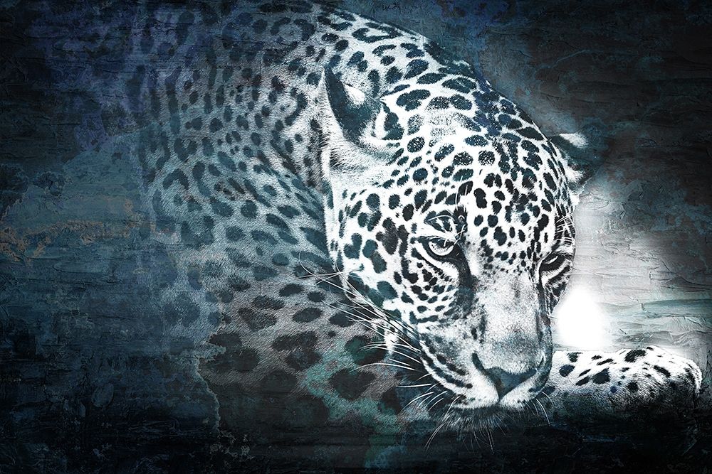 Jungle Cat art print by Ann Bailey for $57.95 CAD