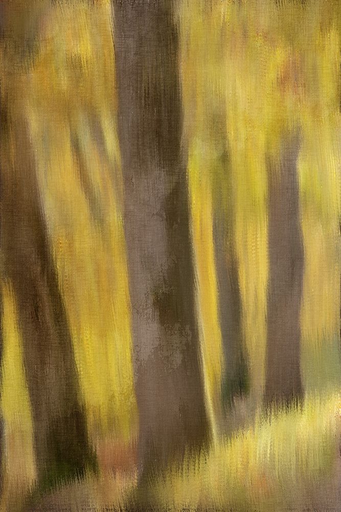 Autumns Edge art print by Ann Bailey for $57.95 CAD