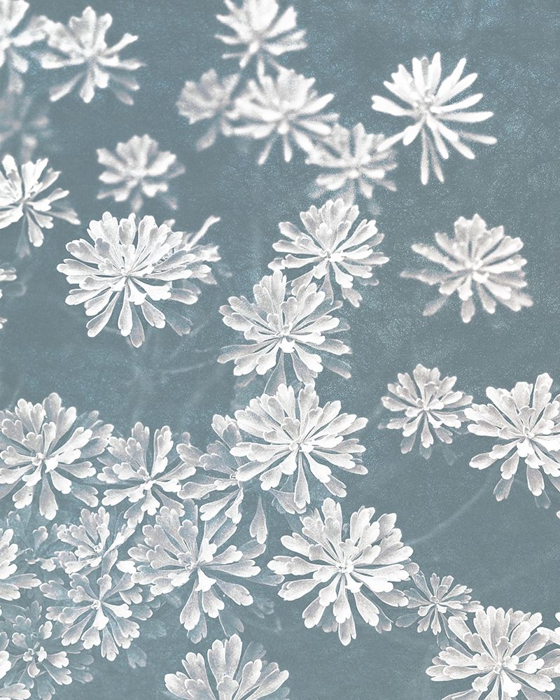Blooms Falling v2 art print by Ann Bailey for $57.95 CAD