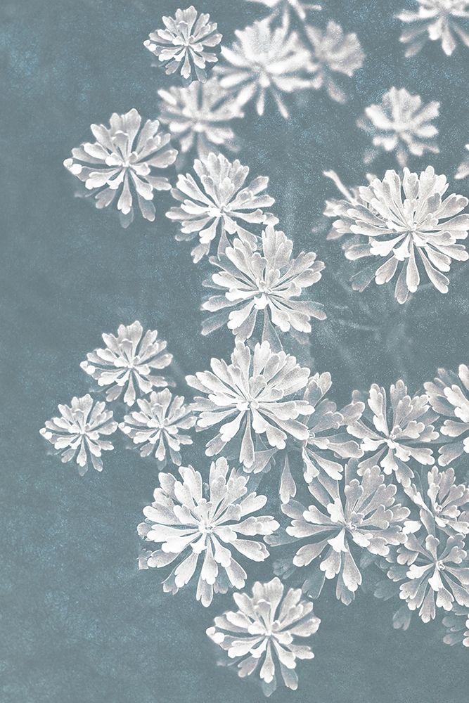 Blooms Falling 2_v2 art print by Ann Bailey for $57.95 CAD