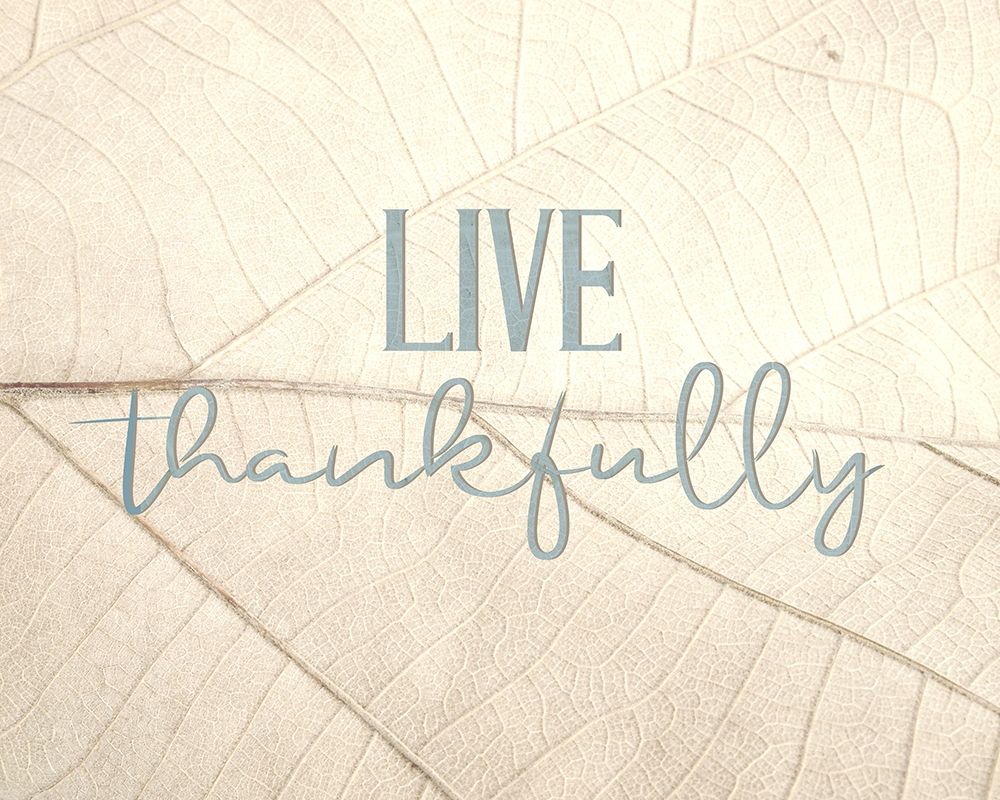 Live Thankfully art print by Ann Bailey for $57.95 CAD