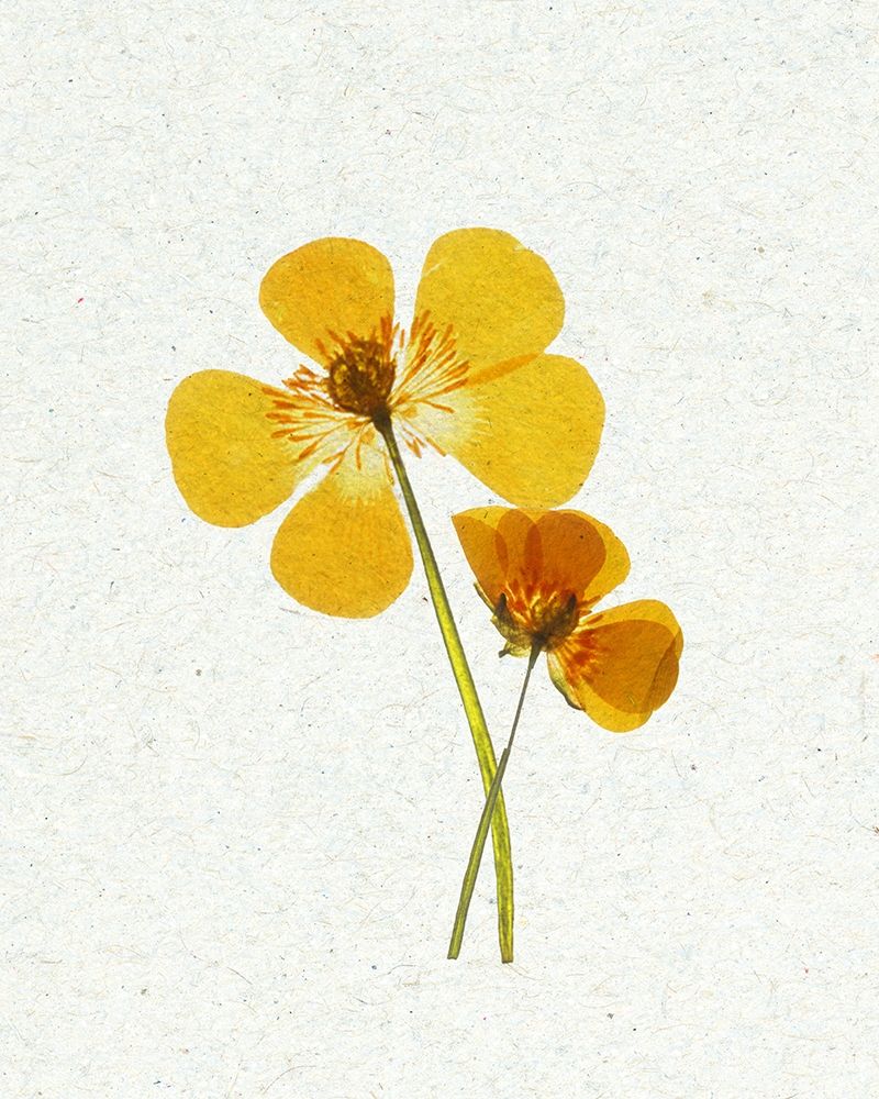 Little 1 art print by Ann Bailey for $57.95 CAD