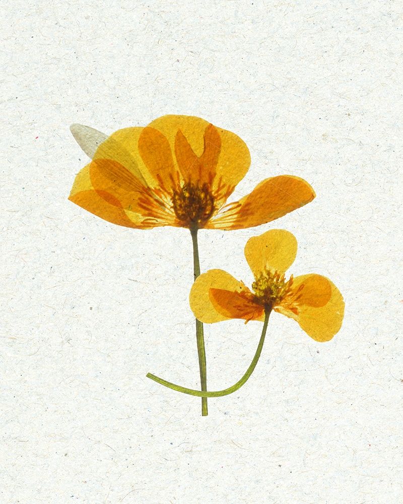 Little 2 art print by Ann Bailey for $57.95 CAD