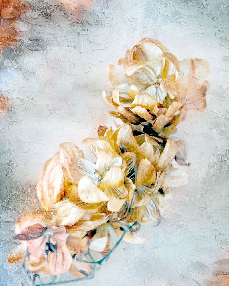 Autumn Foliage 1 art print by Ann Bailey for $57.95 CAD