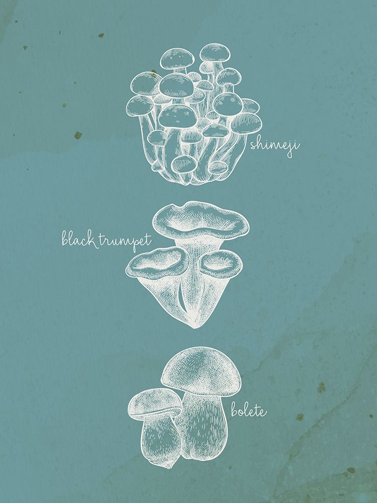 Mushroom Teal 2 art print by Ann Bailey for $57.95 CAD