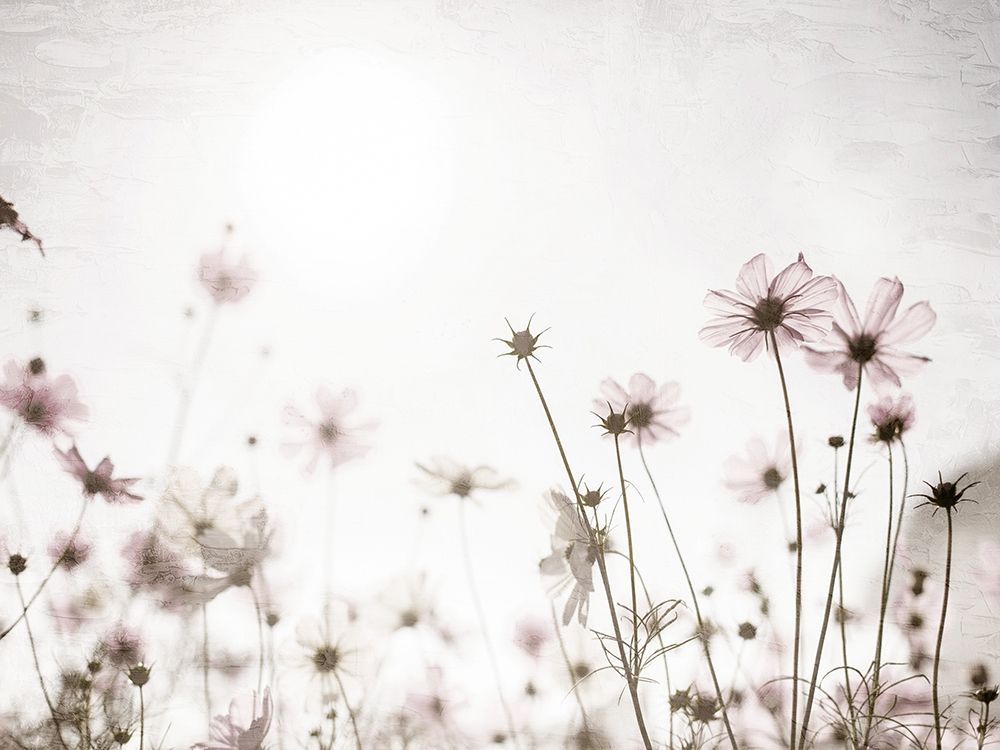 Soft Spring art print by Ann Bailey for $57.95 CAD