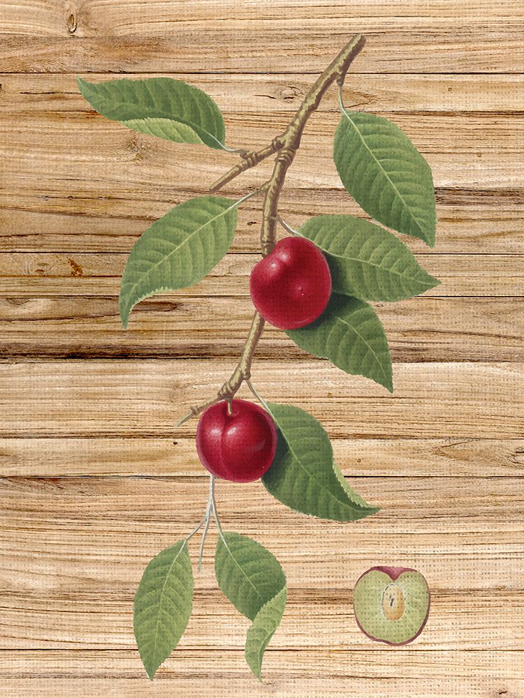 Pressed Fruit 3 art print by Ann Bailey for $57.95 CAD