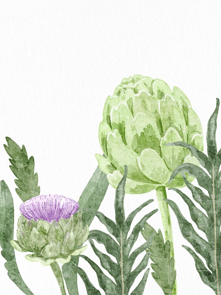 Watercolor Artichoke 1 art print by Ann Bailey for $57.95 CAD