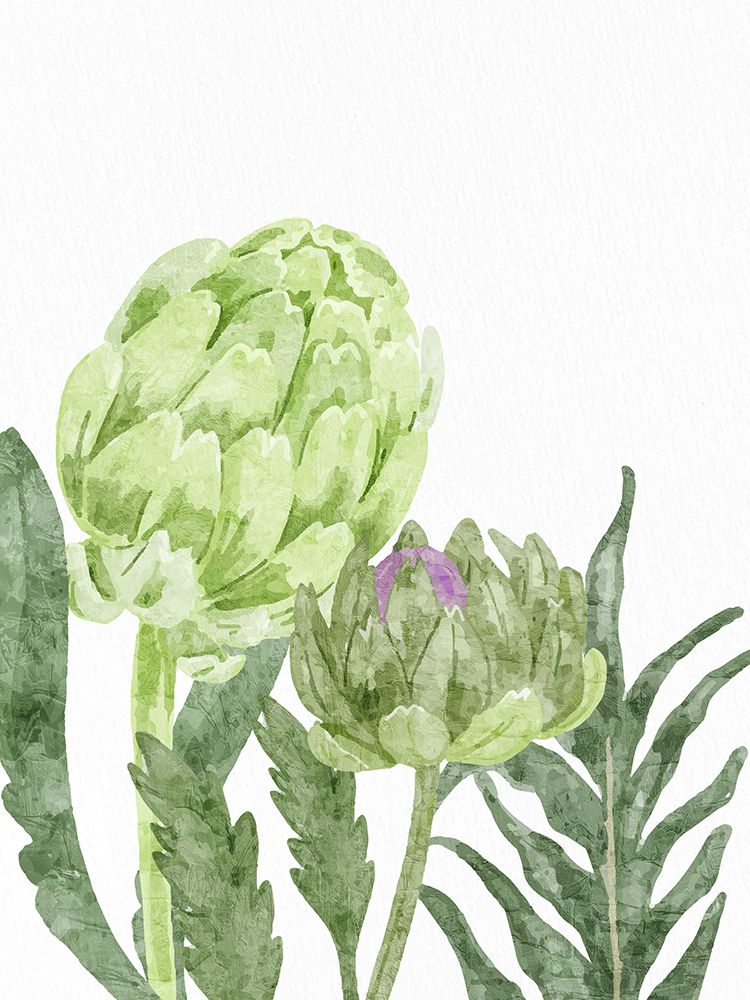 Watercolor Artichoke 2 art print by Ann Bailey for $57.95 CAD