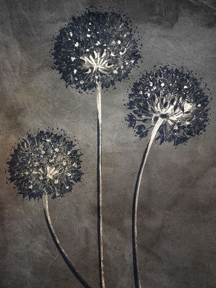 Puff 1 art print by Ann Bailey for $57.95 CAD