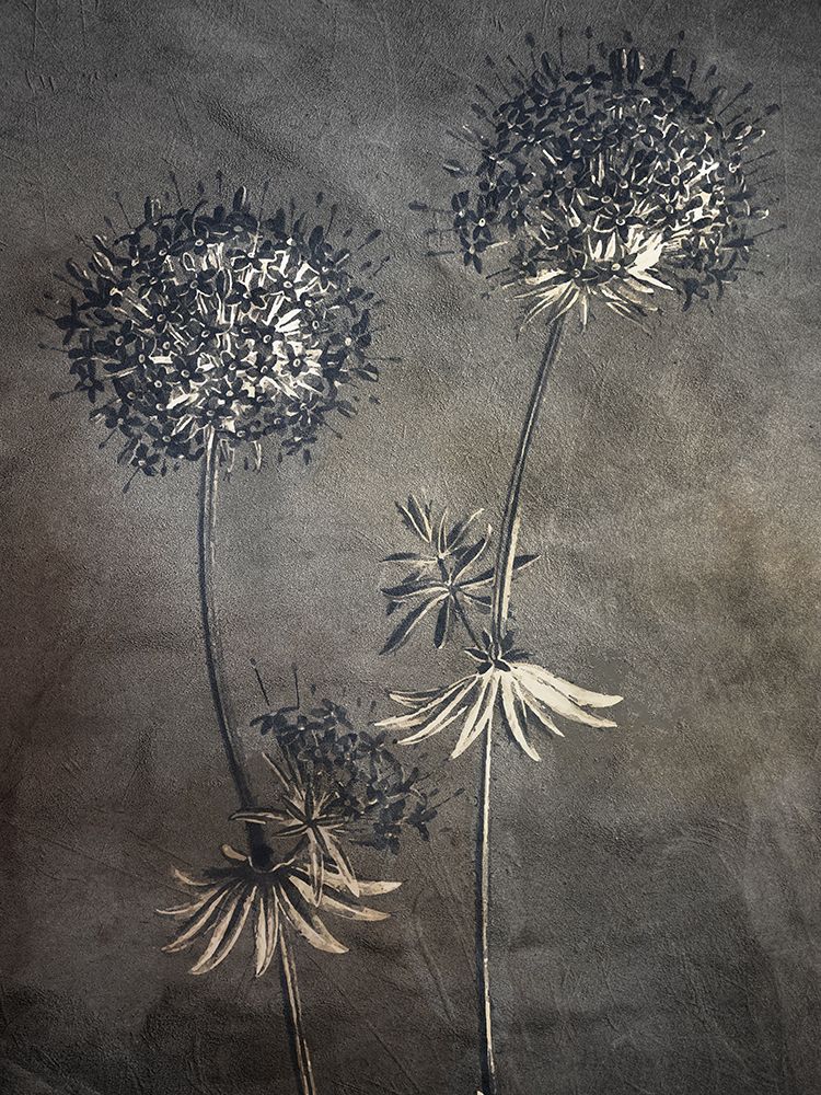 Puff 2 art print by Ann Bailey for $57.95 CAD