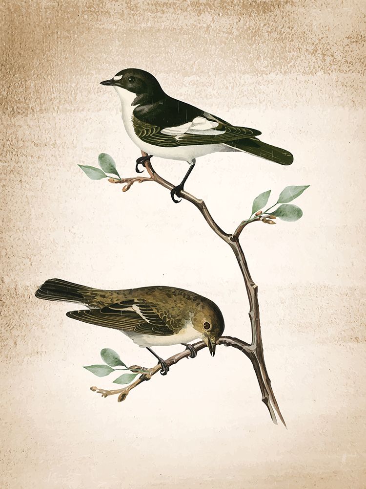 Spring 2 art print by Ann Bailey for $57.95 CAD