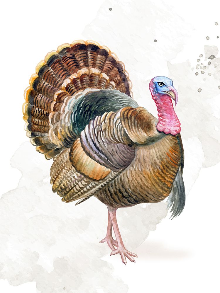 Gobble art print by Ann Bailey for $57.95 CAD