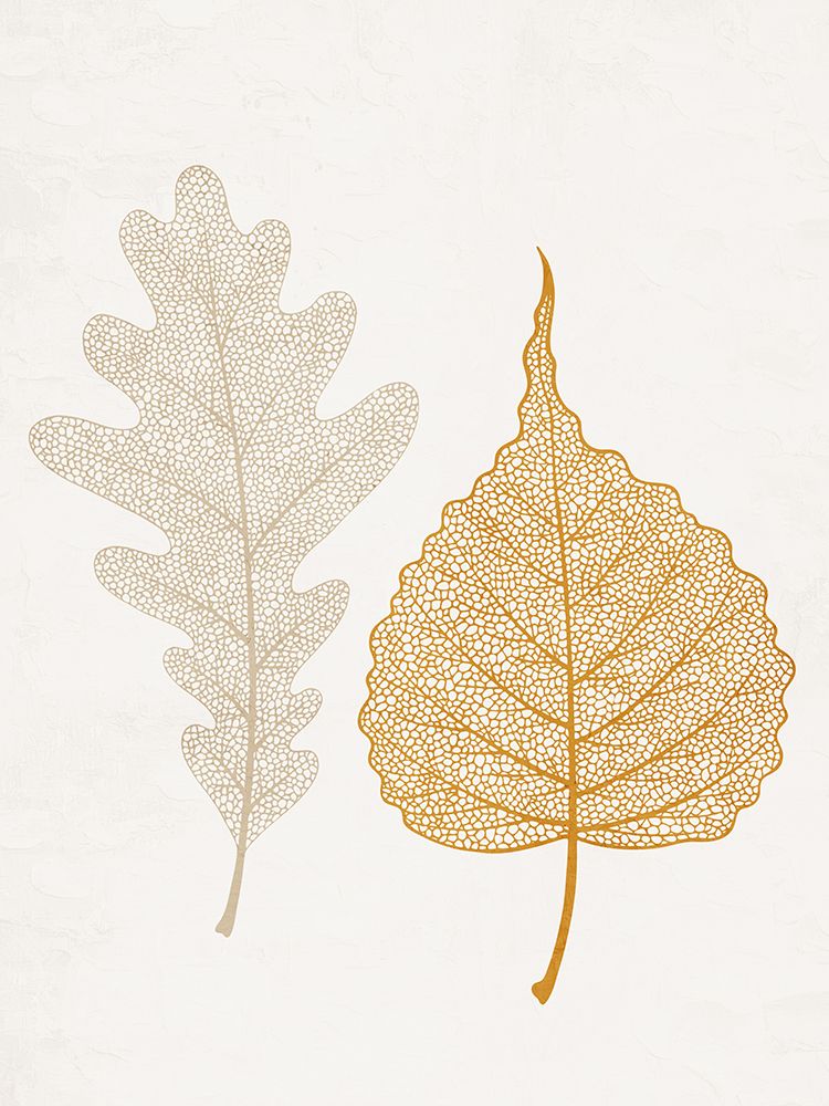 Skeleton Leaves 1 art print by Ann Bailey for $57.95 CAD