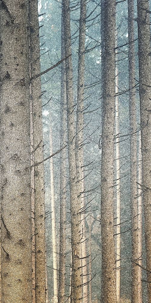 Forest Dreaming 2 art print by Ann Bailey for $57.95 CAD