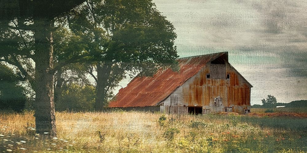 Country Life art print by Ann Bailey for $57.95 CAD