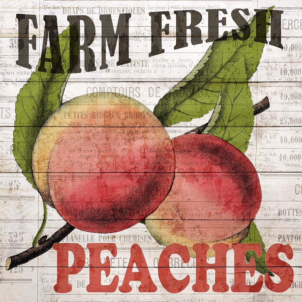 Fresh Picked Peaches art print by Ann Bailey for $57.95 CAD