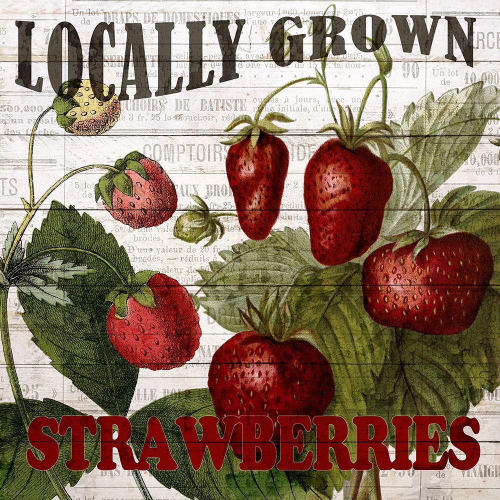 Fresh Picked Strawberries art print by Ann Bailey for $57.95 CAD