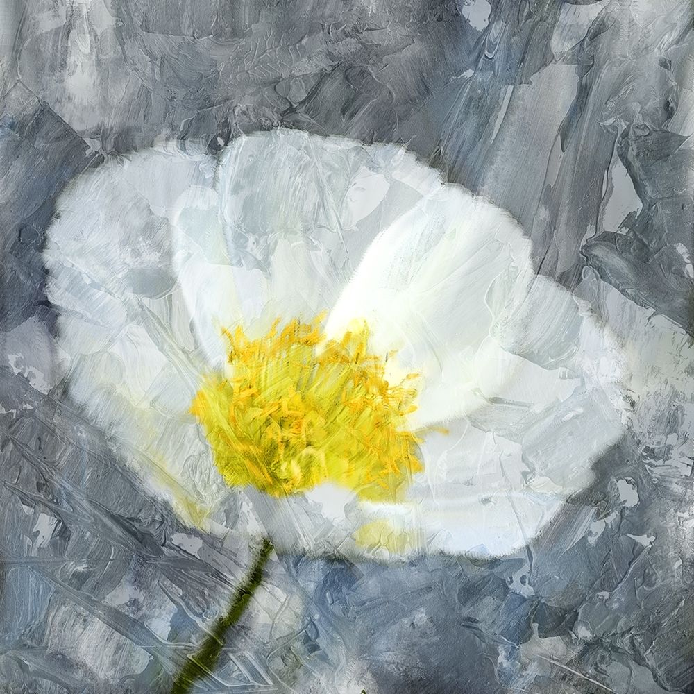 Poppy Blues 1 art print by Ann Bailey for $57.95 CAD