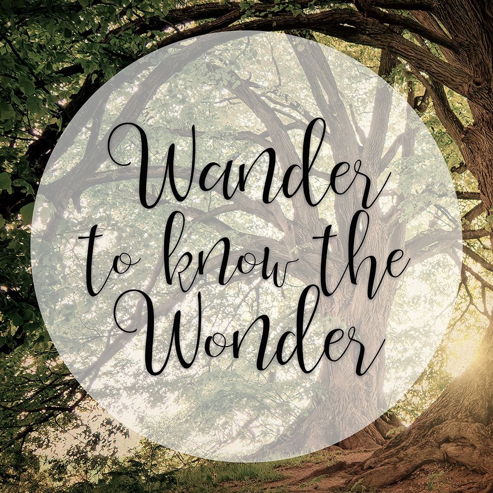 Wander Wonder art print by Ann Bailey for $57.95 CAD