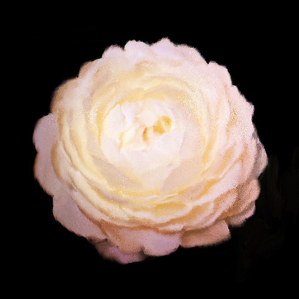 Rose Gold art print by Ann Bailey for $57.95 CAD