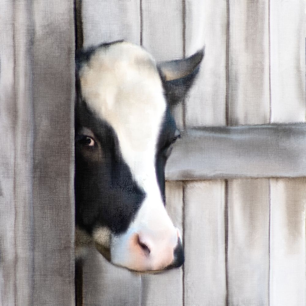 Peeking Cow art print by Ann Bailey for $57.95 CAD